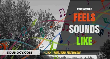 Exploring the Unique Soundscape: How a Country's Essence Echoes Through Music