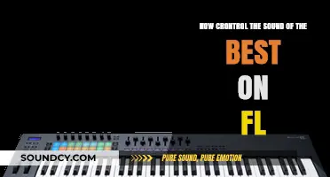 Mastering Sound Control: Best Techniques for FL Studio Users