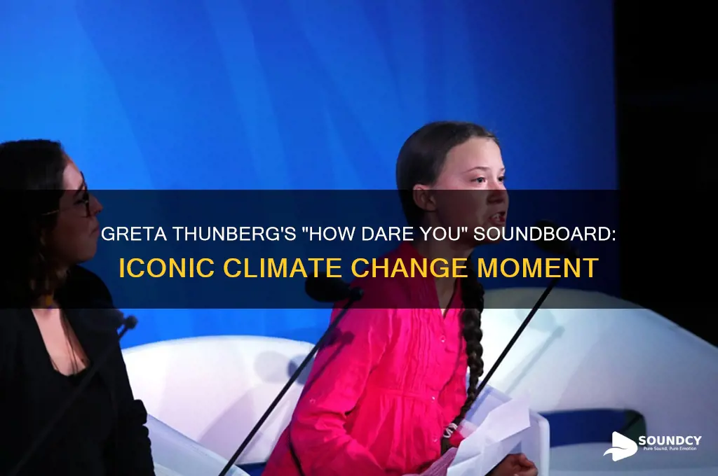 how dare you greta sound board