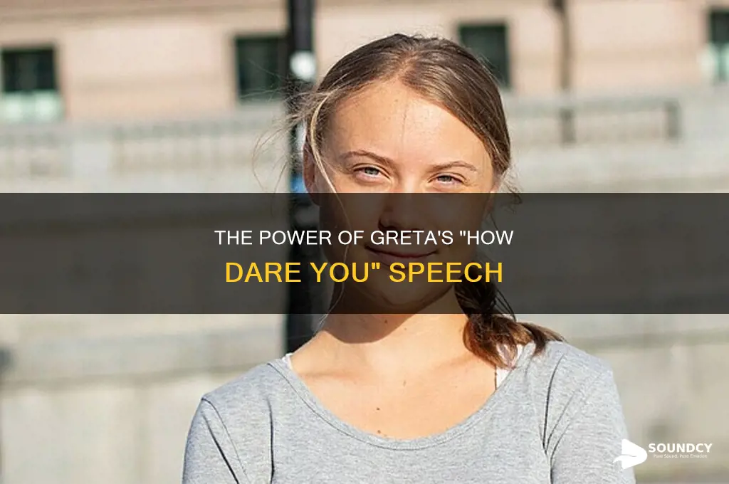 how dare you greta sound clip