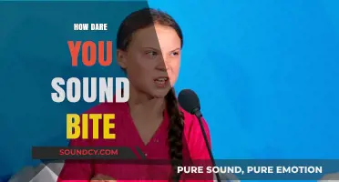 How Dare You": Deconstructing Greta Thunberg's Iconic Climate Change Sound Bit