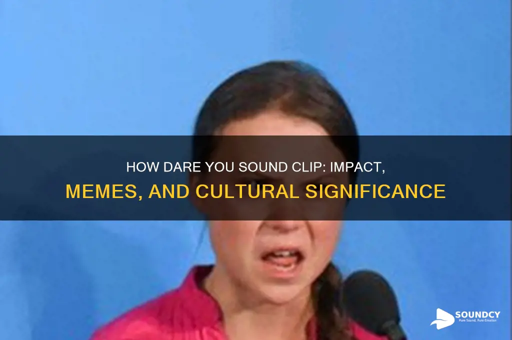how dare you sound clip