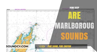 Exploring the Depths of Marlborough Sounds: A Comprehensive Guide