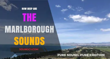 Exploring the Depths of Marlborough Sounds