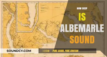 Exploring Albemarle Sound: Unveiling Its Surprising Depth and Secrets