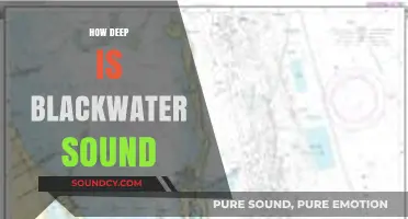 Exploring Blackwater Sound's Depths: Unveiling the Mysteries Beneath the Surface