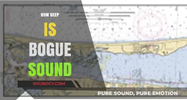 Exploring Bogue Sound: Unveiling Its Depth and Coastal Secrets