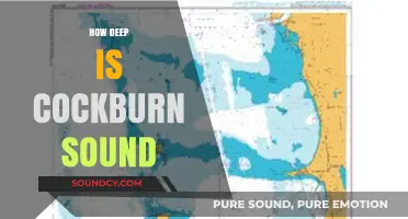 Exploring Cockburn Sound's Depths: Unveiling Western Australia's Hidden Marine World
