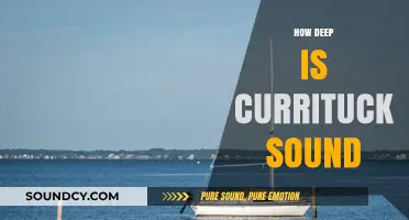 Exploring Currituck Sound: Unveiling Its Depth and Hidden Wonders
