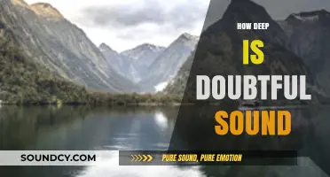 Exploring Doubtful Sound's Depths: Unveiling New Zealand's Hidden Underwater World