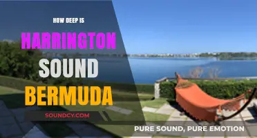 Exploring the Depths of Bermuda's Harrington Sound