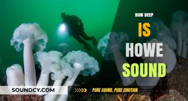 Exploring Howe Sound's Depths: Unveiling the Mysteries of its Ocean Floor