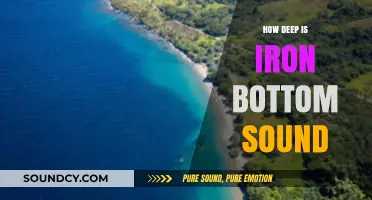 Exploring Iron Bottom Sound's Depths: A Historical Mystery