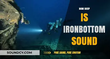 Exploring Ironbottom Sound's Depths: Unveiling the Historic Naval Battlefield