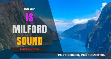 Exploring Milford Sound's Depths: Unveiling the Fjord's Astonishing Underwater Secrets