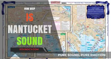 Exploring Nantucket Sound's Depths: Unveiling Its Surprising Underwater Secrets