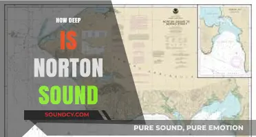 Exploring Norton Sound's Depths: Unveiling Alaska's Coastal Marine Mystery