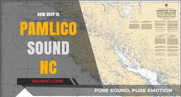 Exploring the Depths of Pamlico Sound, North Carolina