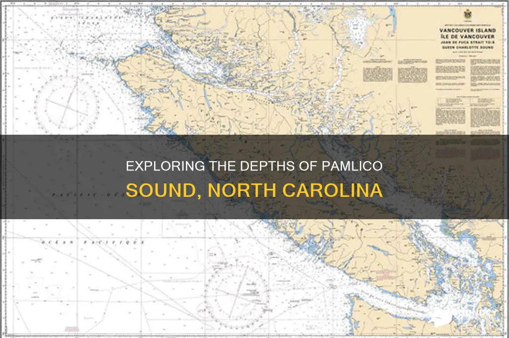 how deep is pamlico sound nc