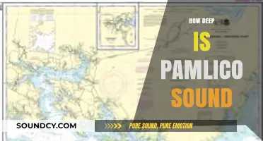 Exploring Pamlico Sound: Unveiling Its Surprising Depth and Secrets