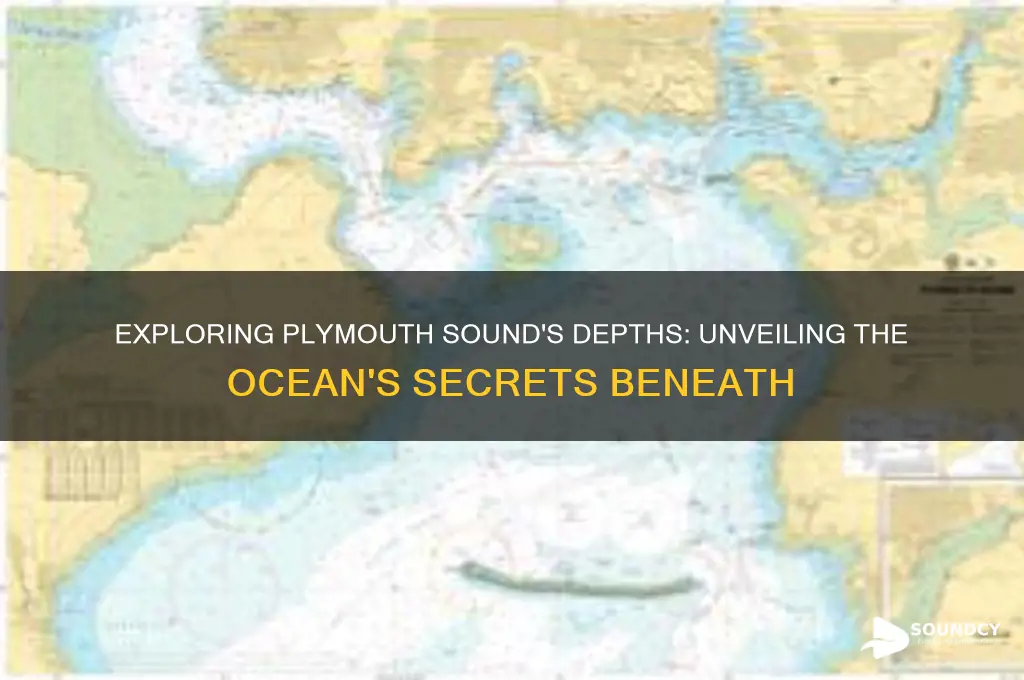 how deep is plymouth sound