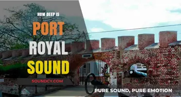 Exploring Port Royal Sound: How Deep Does It Go?