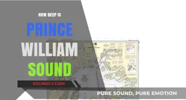 Exploring the Depths of Prince William Sound