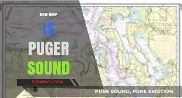 Exploring the Depths: How Deep is Puget Sound?