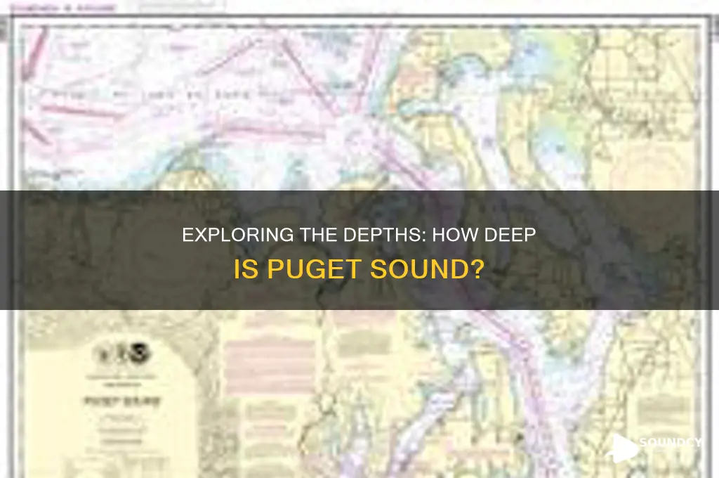how deep is puger sound