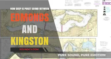Exploring Puget Sound's Depths: Edmonds to Kingston Underwater Journey