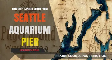 Exploring Puget Sound's Depths: A Dive from Seattle Aquarium Pier