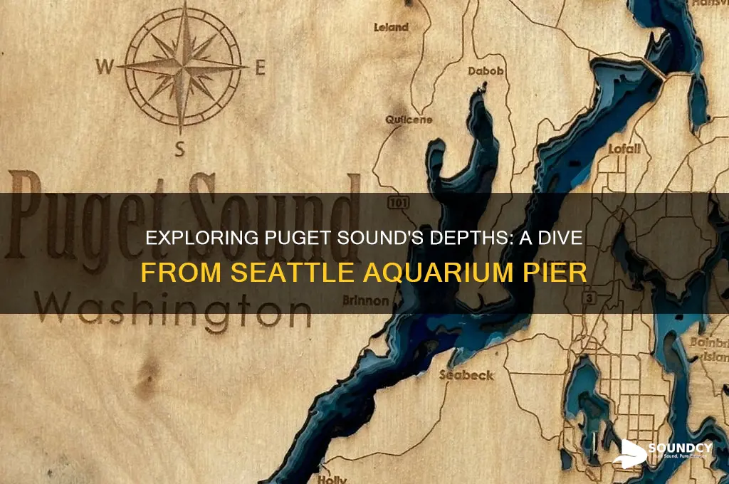 how deep is puget sound from seattle aquarium pier