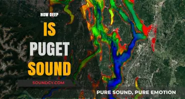 Exploring Puget Sound's Depths: Unveiling the Mysteries Below the Surface