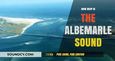 Exploring the Depths of Albemarle Sound
