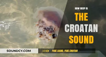 Exploring the Depths of Croatan Sound