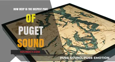 Exploring Puget Sound's Depths: Unveiling the Deepest Point's Secrets