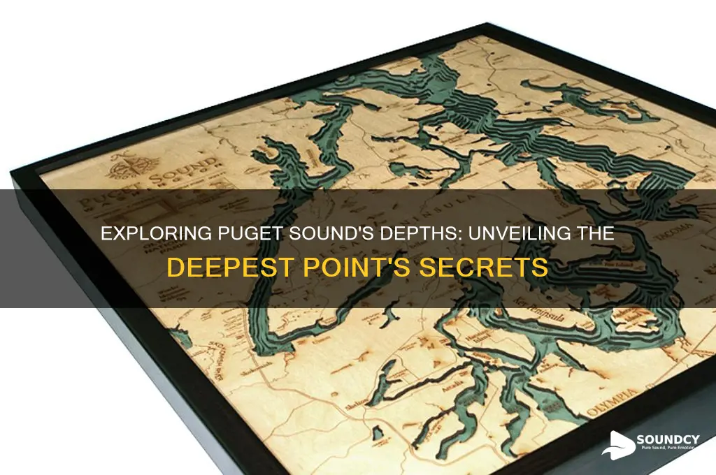 how deep is the deepest part of puget sound