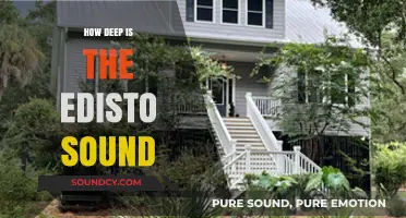 Exploring Edisto Sound: How Deep Does It Go?