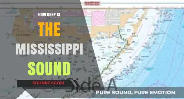 Exploring the Depths of Mississippi Sound