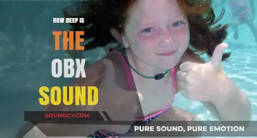 Exploring the Depths of OBX's Enigmatic Sounds