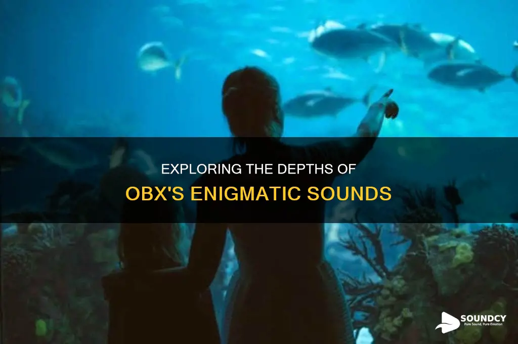 how deep is the obx sound