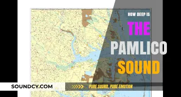 Exploring the Depths of Pamlico Sound
