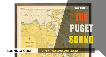Exploring the Depths of Puget Sound: How Deep Does It Go?