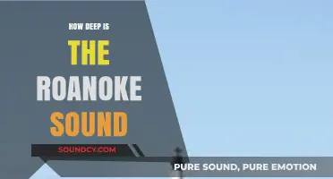 Exploring the Depths of Roanoke Sound