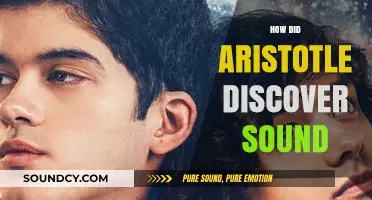 Aristotle's Acoustic Odyssey: Unraveling the Mystery of Sound's Discovery