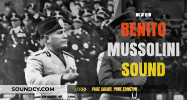 Mussolini's Voice: Analyzing the Tone and Impact of His Speeches
