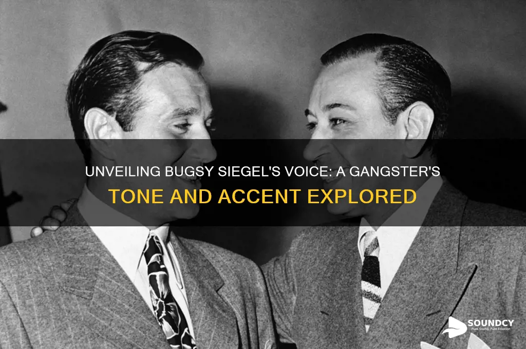 how did bugsy siegel sound