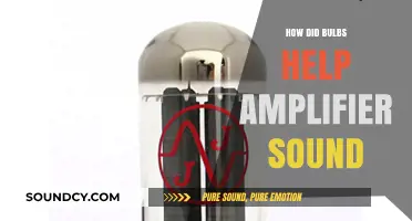 The Evolution of Amplified Sound: Bulbs' Impact