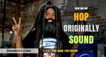 Hip-Hop's Original Sound: Raw and Unfiltered
