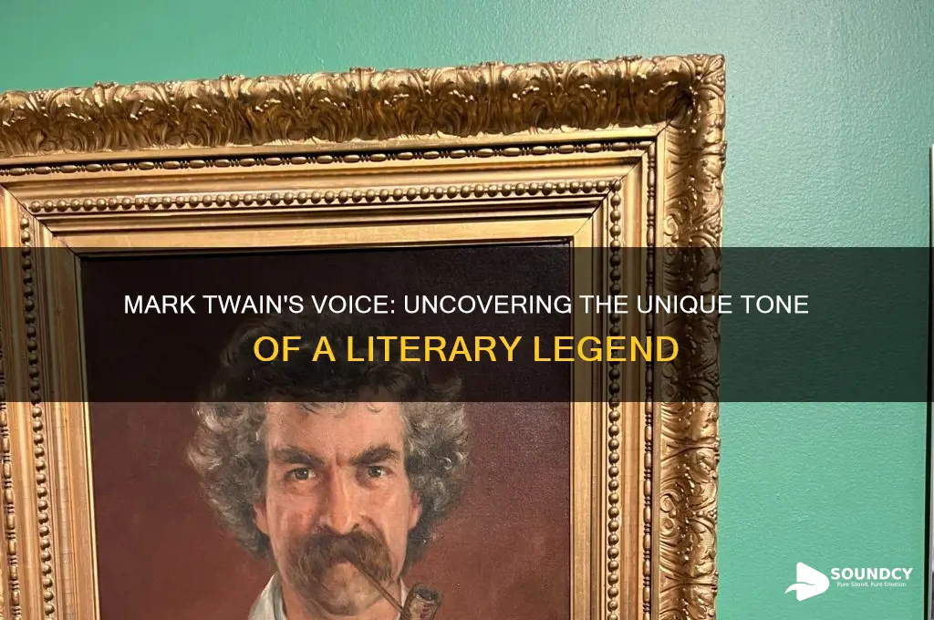 how did mark twain sound